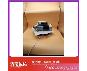 云南E049361000002起动机08821095 发电机 Sany SR150 WP12