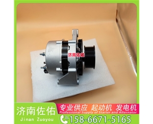 云南发电机 1001828445启动机3103950 XCMG XR120 WP10